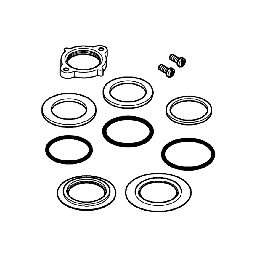 GROHE 48384000 - Hoofdbevestiging