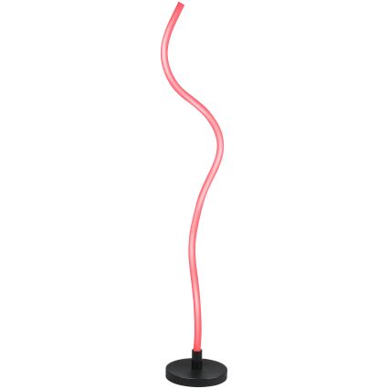 Grundig - LED RGB dimbare vloerlamp LED/5W/5V + afstandsbediening