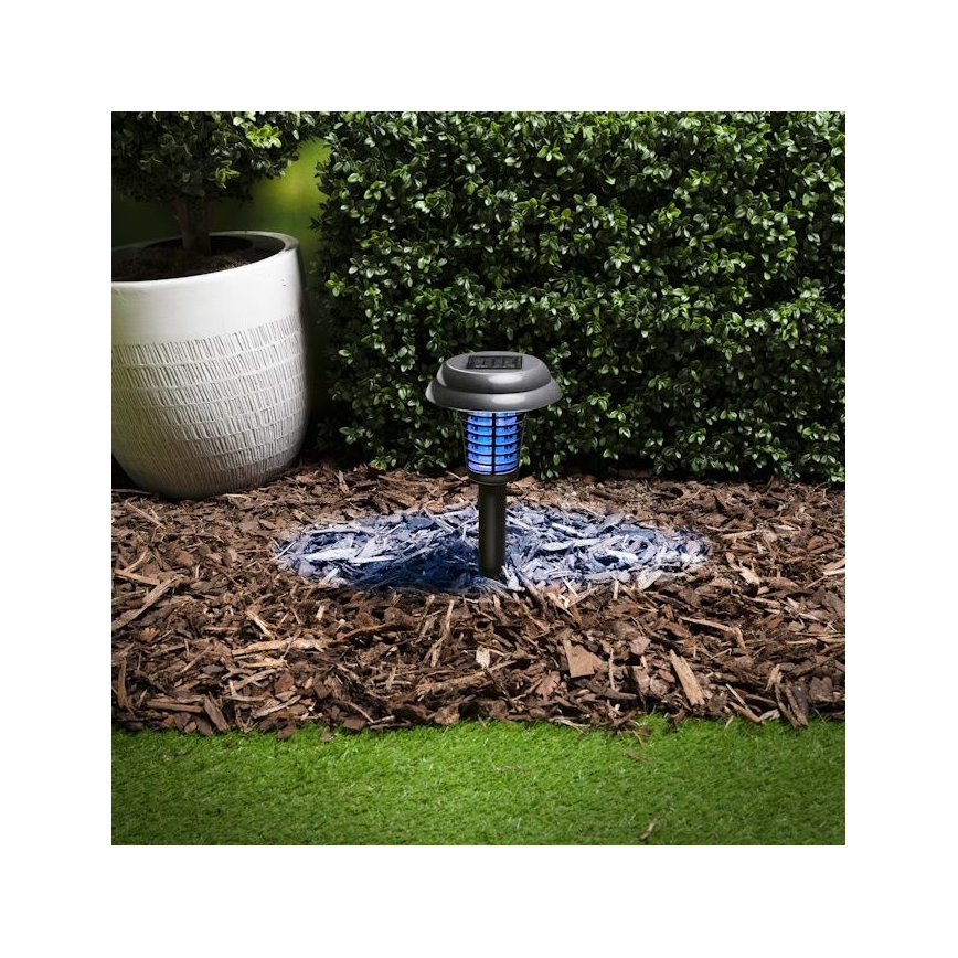 Grundig - LED zonnelamp en insectenvanger UV LED/1xAA 600 mAh IPX4