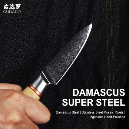 Gudaro - Damast-keukenmes HIKARI 3,5, 67-laags damaststaal, lengte 9,5 cm