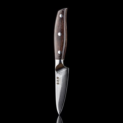 Gudaro - Damast keukenmes SHIRO 3,5, 67-laags staal, lengte 9,5 cm