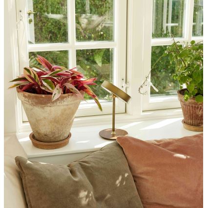 Halo Design 745784 - Dimbare oplaadbare bureaulamp ON THE MOVE LED/2,5W/4000 mAh messing/hout