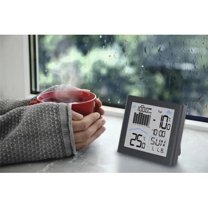 Hama - Weerstation met pluviometer en LCD-display 2xAAA antraciet