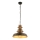 Hanglamp aan een ketting 1xE27/40W/230V brons