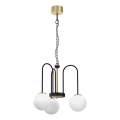 Hanglamp aan een ketting CAMBRIDGE 3xE14/60W/230V zwart/messing