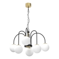 Hanglamp aan een ketting CAMBRIDGE 6xE14/60W/230V zwart/messing