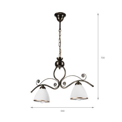 Hanglamp aan een ketting RETRO 2xE27/60W/230V brons/patina