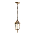 Hanglamp aan een ketting voor Buiten 1xE27/60W/230V goud IP44