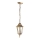 Hanglamp aan een ketting voor Buiten 1xE27/60W/230V goud IP44