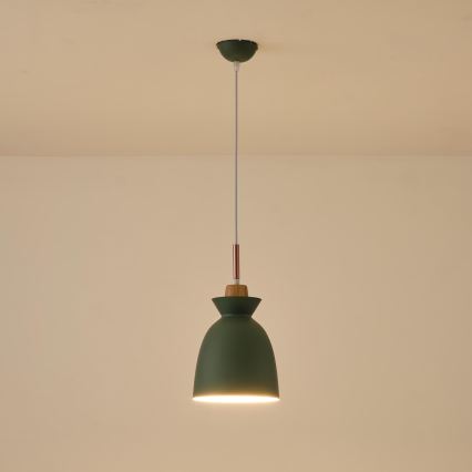 Hanglamp aan een koord 1xE27/15W/230V groen diameter 19,5 cm