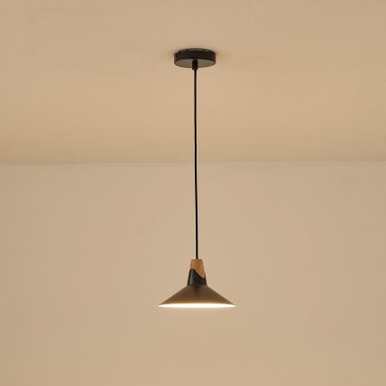 Hanglamp aan een koord 1xE27/15W/230V zwart