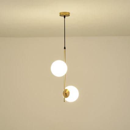 Hanglamp aan een koord 2xE27/40W/230V messing