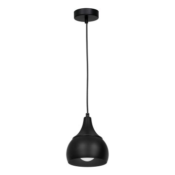 Hanglamp aan een koord AKTAN 1xE27/60W/230V zwart