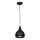 Hanglamp aan een koord AKTAN 1xE27/60W/230V zwart