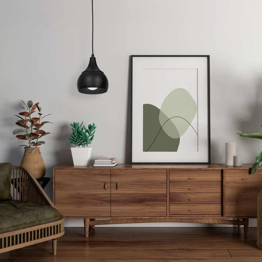 Hanglamp aan een koord AKTAN 1xE27/60W/230V zwart