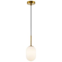 Hanglamp aan een koord ALIAS 1xE14/40W/230V diameter 12 cm goud