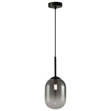 Hanglamp aan een koord ALIAS 1xE14/40W/230V diameter 12 cm zwart/grijs