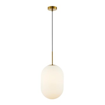 Hanglamp aan een koord ALIAS 1xE14/40W/230V diameter 24 cm goud