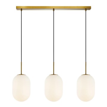 Hanglamp aan een koord ALIAS 3xE14/40W/230V goud