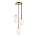 Hanglamp aan een koord ALIAS 3xE14/40W/230V goud