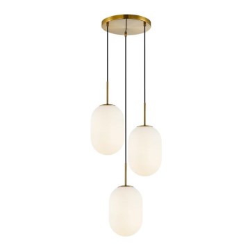 Hanglamp aan een koord ALIAS 3xE14/40W/230V goud