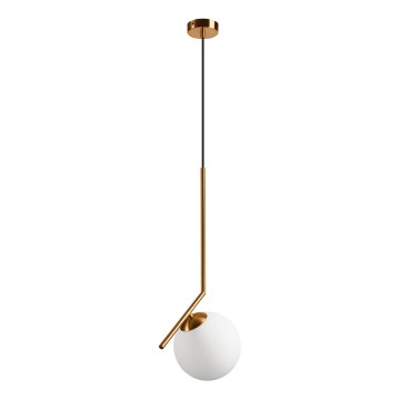 Hanglamp aan een koord AMBER 1xG9/5W/230V 130 cm