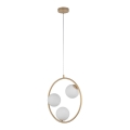 Hanglamp aan een koord AQUA 3xG9/12W/230V goud