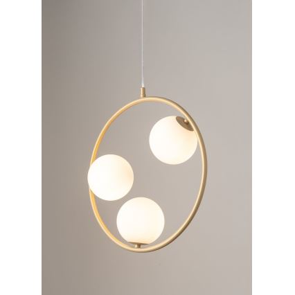 Hanglamp aan een koord AQUA 3xG9/12W/230V goud