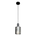 Hanglamp aan een koord ARCADIA 1xE27/60W/230V diameter 13 cm zwart/gerookt