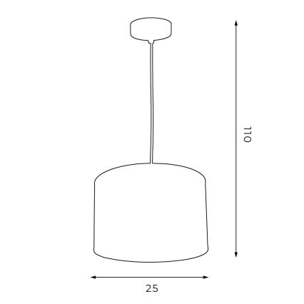 Hanglamp aan een koord ARDEN 1xE27/60W/230V d. 25 cm zwart/gouden