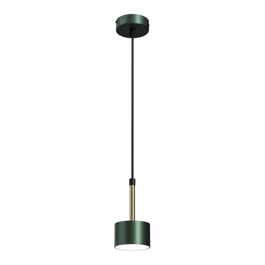 Hanglamp aan een koord ARENA 1xGX53/11W/230V groen/goud