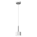 Hanglamp aan een koord ARENA 1xGX53/11W/230V wit/chroom