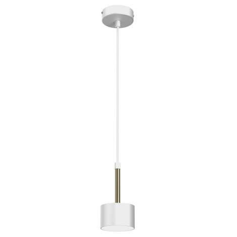 Hanglamp aan een koord ARENA 1xGX53/11W/230V wit/goud