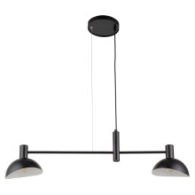 Hanglamp aan een koord ARTIS 2xE14/40W/230V zwart