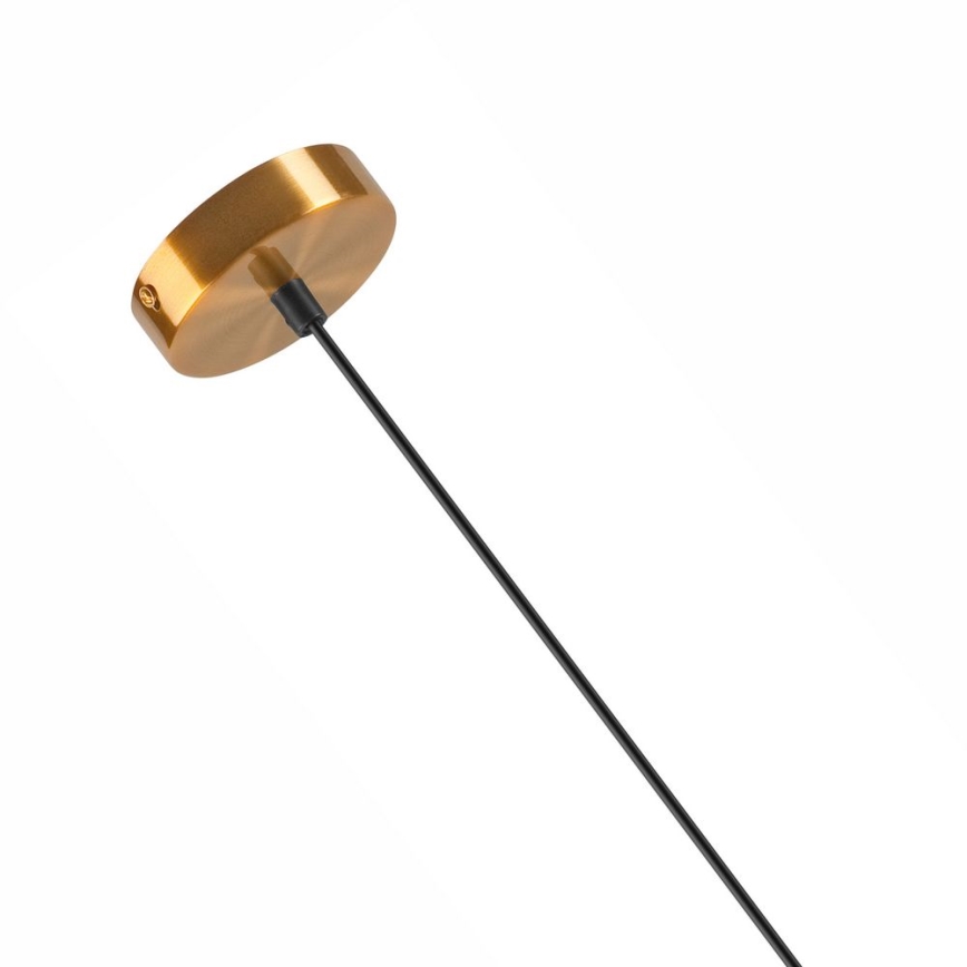 Hanglamp aan een koord ASTRA 1xE27/60W/230V