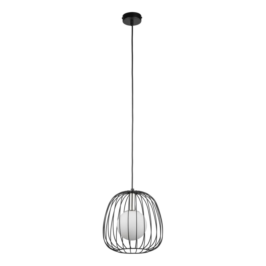 Hanglamp aan een koord BELL 1xG9/12W/230V diameter 24 cm zwart/glanzend chroom