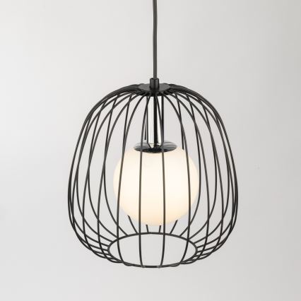 Hanglamp aan een koord BELL 1xG9/12W/230V diameter 24 cm zwart/glanzend chroom