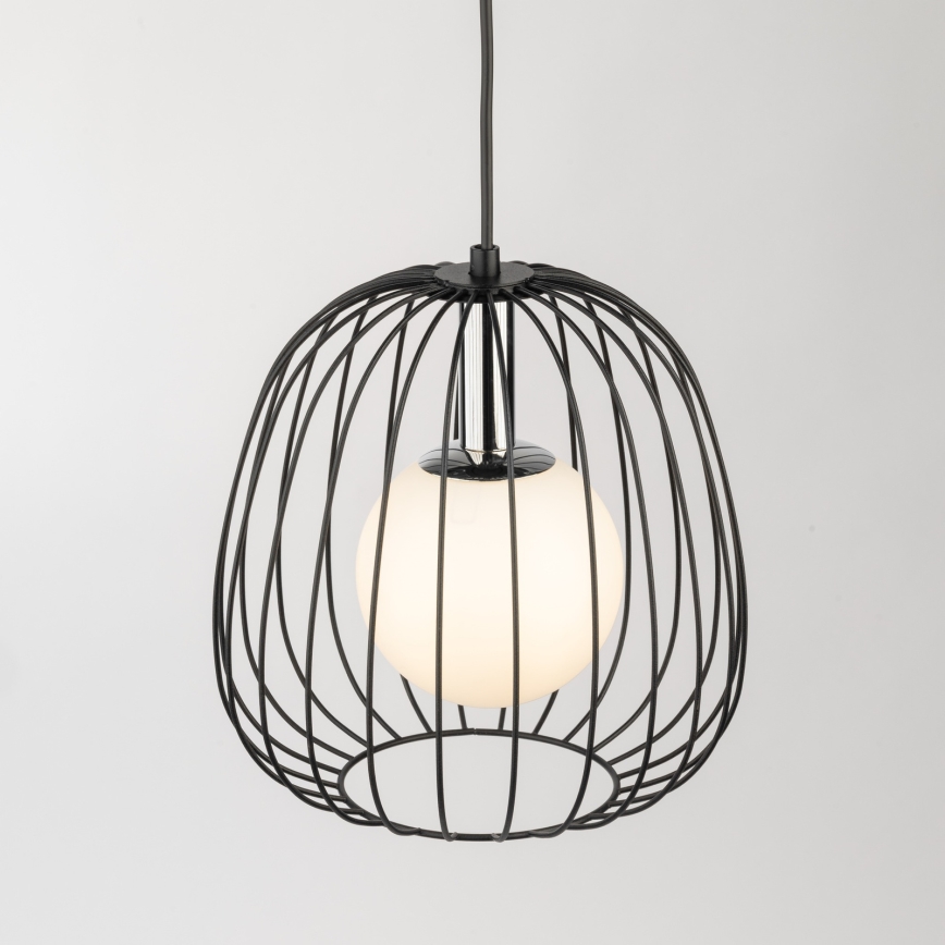 Hanglamp aan een koord BELL 1xG9/12W/230V diameter 24 cm zwart/glanzend chroom