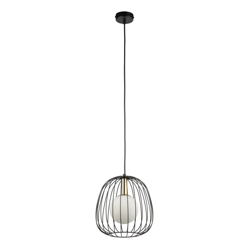 Hanglamp aan een koord BELL 1xG9/12W/230V diameter 24 cm zwart/goud