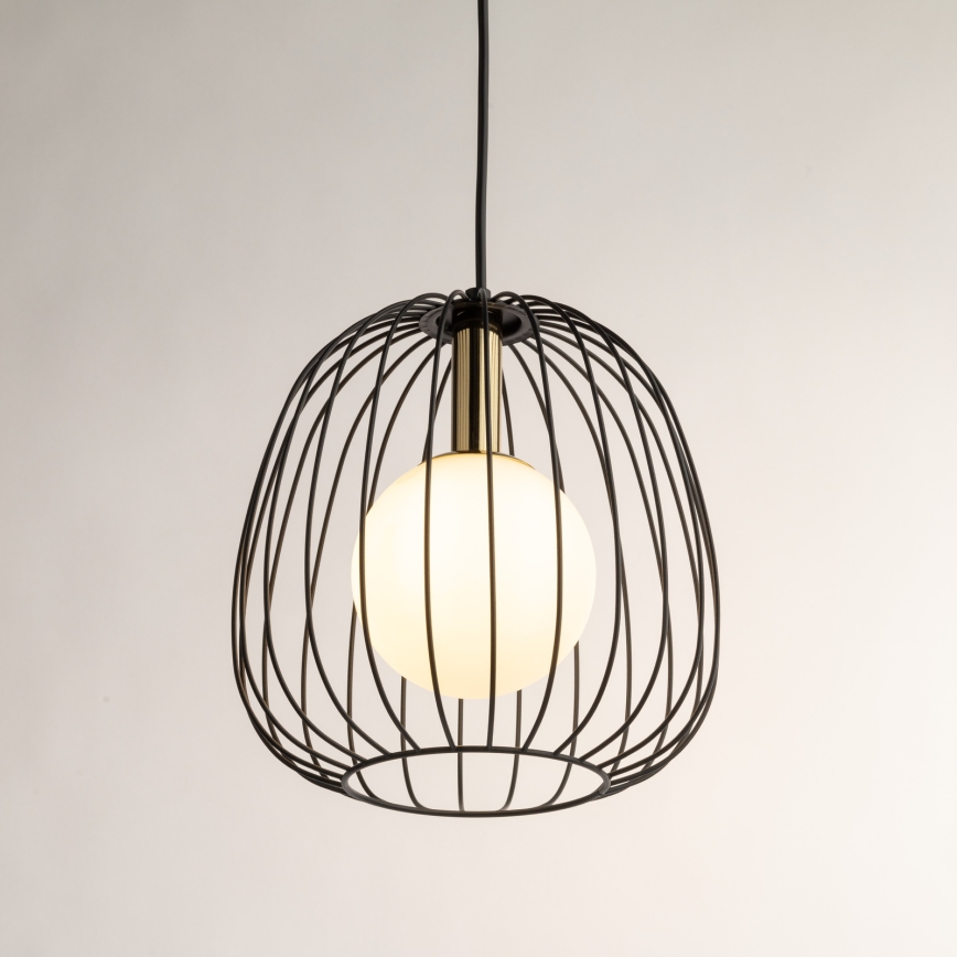 Hanglamp aan een koord BELL 1xG9/12W/230V diameter 24 cm zwart/goud
