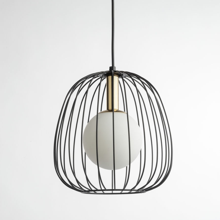 Hanglamp aan een koord BELL 1xG9/12W/230V diameter 24 cm zwart/goud