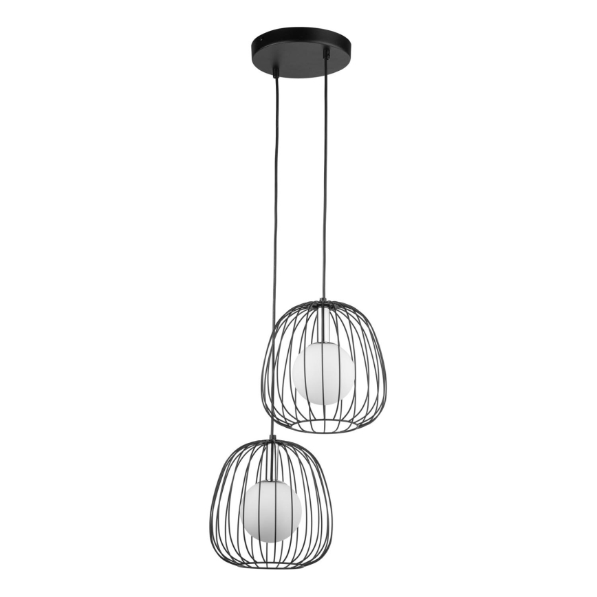 Hanglamp aan een koord BELL 2xG9/12W/230V zwart/glanzend chroom