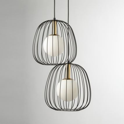 Hanglamp aan een koord BELL 2xG9/12W/230V zwart/goud