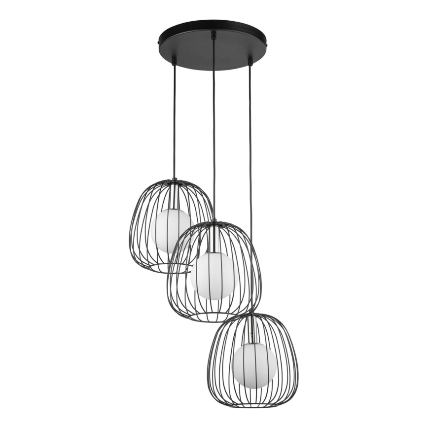 Hanglamp aan een koord BELL 3xG9/12W/230V zwart/glanzend chroom