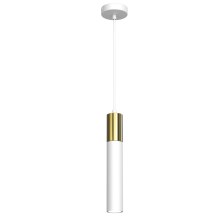 Hanglamp aan een koord CASSA 1xGU10/8W/230V wit/gouden