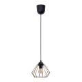 Hanglamp aan een koord CEED GOLD 1xE27/60W/230V diameter 17,5 cm zwart/goud