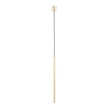 Hanglamp aan een koord COLLET 1xG9/40W/230V goud