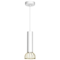Hanglamp aan een koord DANTE 1xGU10/25W/230V wit/goud