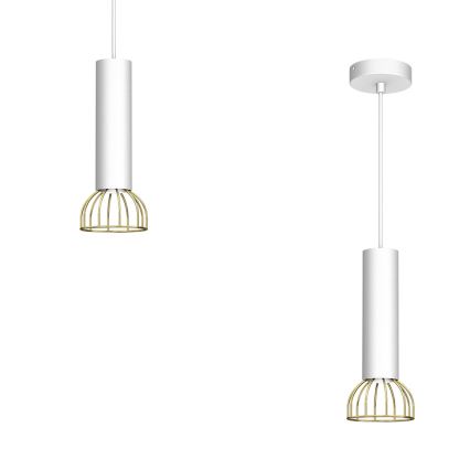 Hanglamp aan een koord DANTE 1xGU10/25W/230V wit/goud