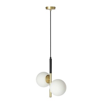 Hanglamp aan een koord DUO 2xE14/40W/230V gouden/zwart